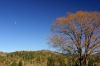 View from Schmidt Winery in Applegate Valley