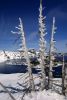 Winter Recreation
