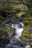 Lava tubes on the Rogue River