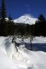 Peace and quiet at Mt. Shasta.