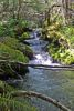 Caves Creek