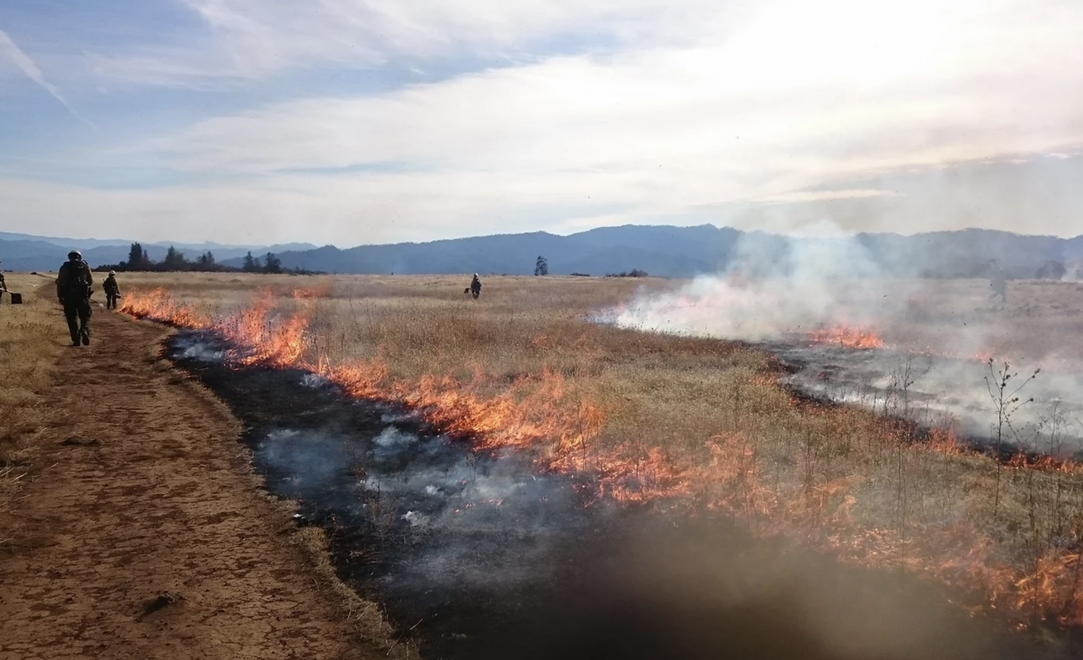 Southern Oregon Fire Ecology Education – About – Southern Oregon 