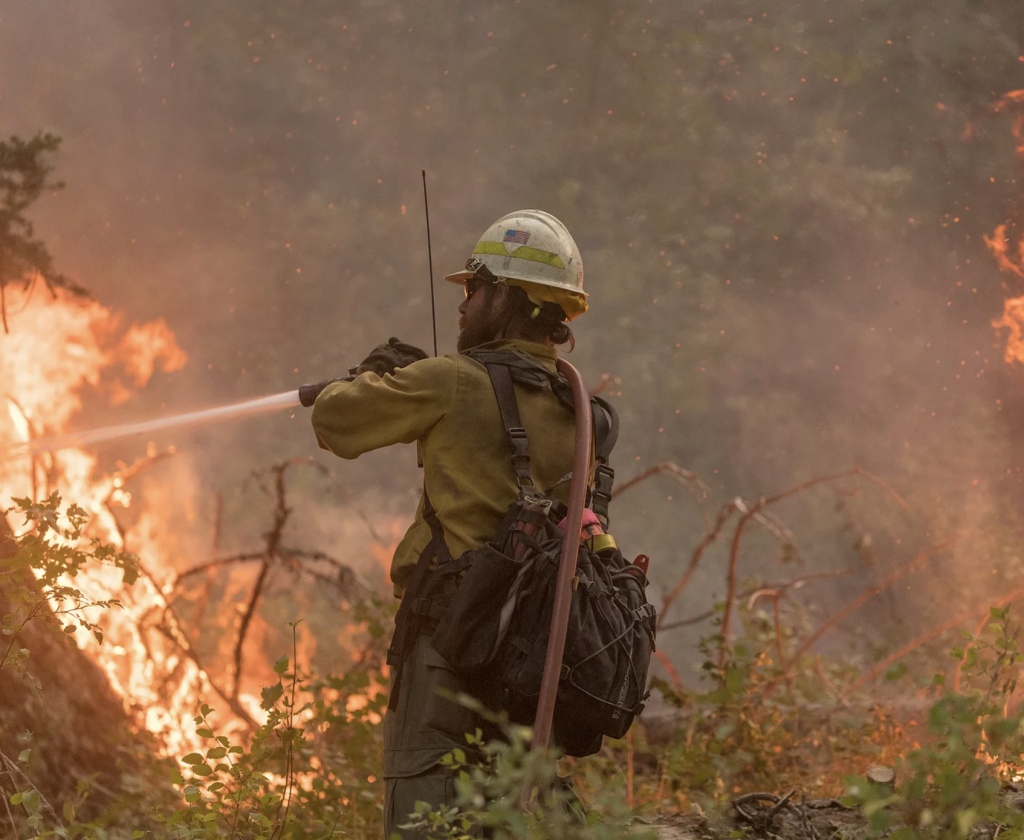 Southern Oregon Fire Ecology Education – About – Southern Oregon 